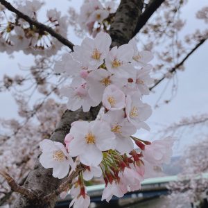 上期安全大会