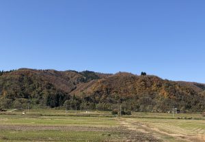 山