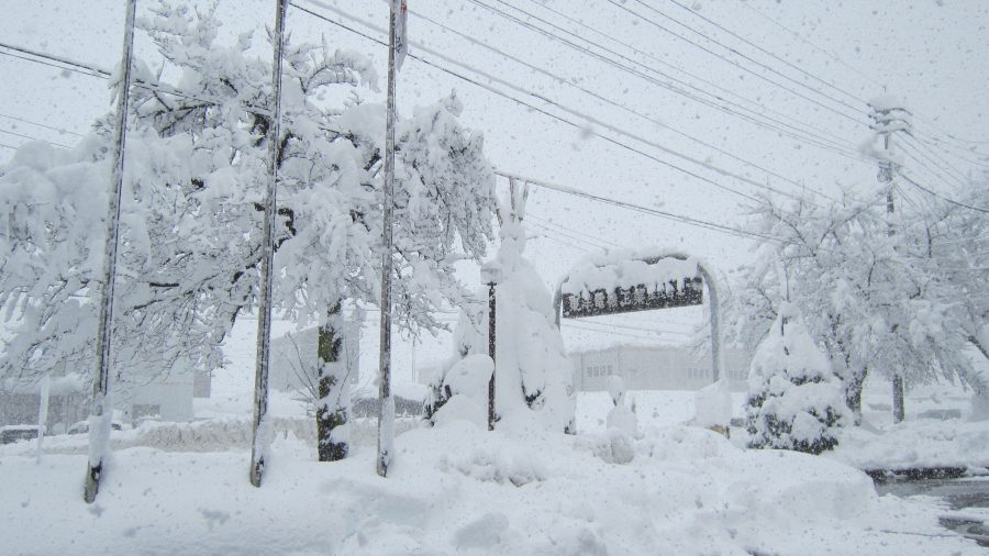 雪景色